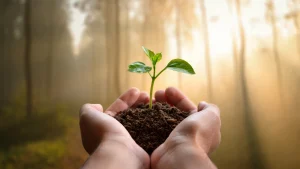 Foto representativa de Mundo Vverde