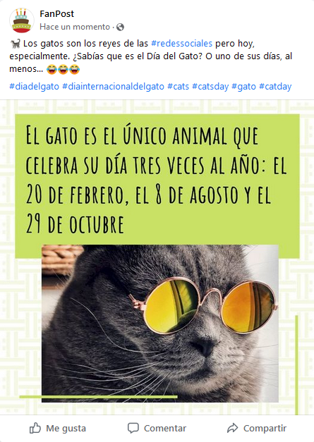 Día del Gato 8 de agosto
